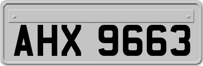 AHX9663