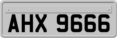 AHX9666