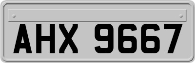 AHX9667