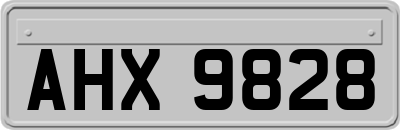 AHX9828