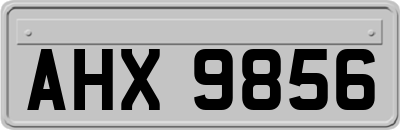 AHX9856