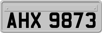 AHX9873