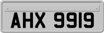 AHX9919
