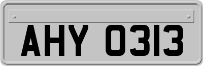 AHY0313