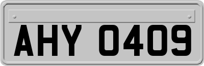 AHY0409