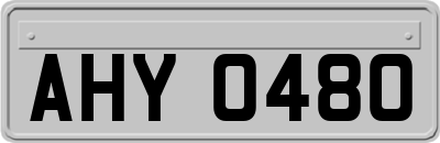 AHY0480