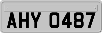 AHY0487