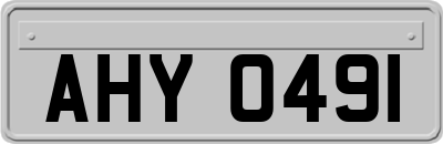 AHY0491