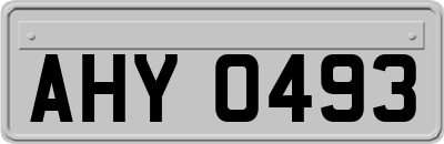 AHY0493