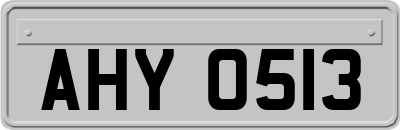 AHY0513