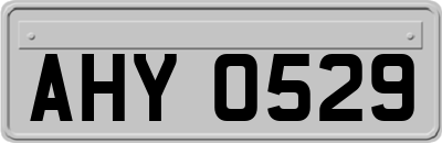 AHY0529