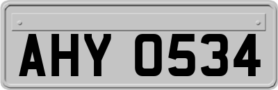 AHY0534
