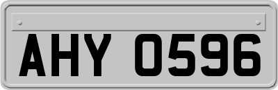 AHY0596