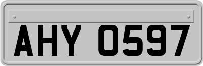 AHY0597