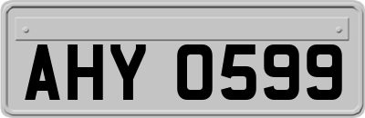 AHY0599