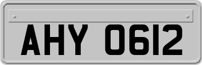 AHY0612