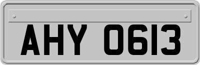 AHY0613