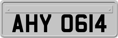 AHY0614