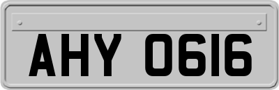 AHY0616