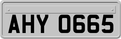 AHY0665