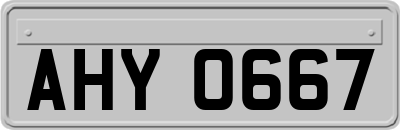 AHY0667