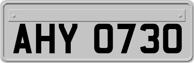 AHY0730