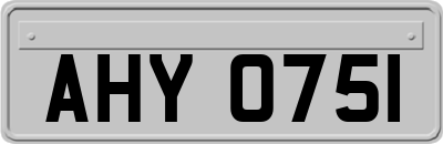 AHY0751