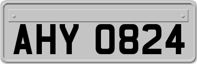 AHY0824