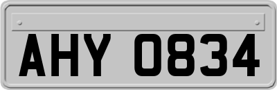 AHY0834