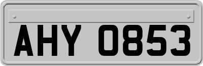 AHY0853
