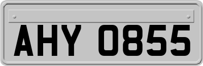 AHY0855