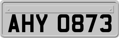 AHY0873