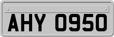 AHY0950