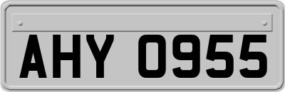 AHY0955