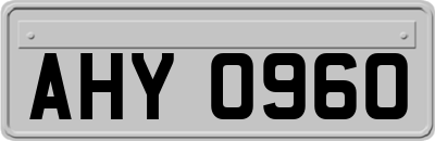 AHY0960