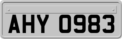 AHY0983