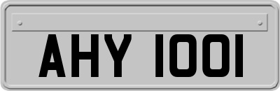 AHY1001