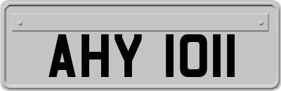 AHY1011