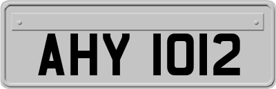 AHY1012