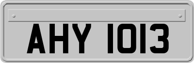 AHY1013