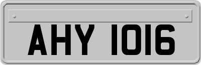 AHY1016