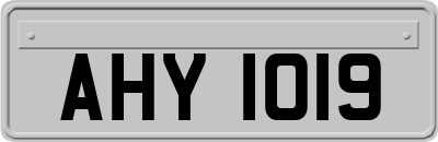 AHY1019