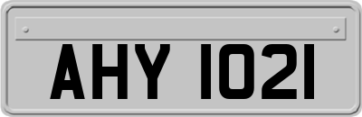 AHY1021