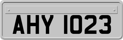 AHY1023
