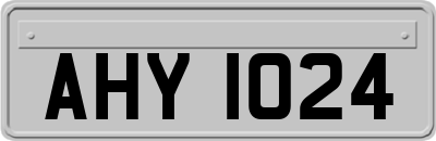 AHY1024