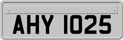 AHY1025
