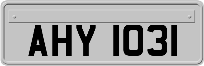 AHY1031