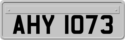 AHY1073