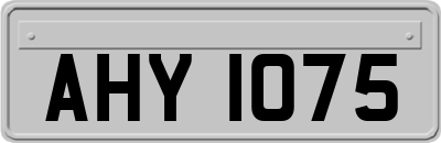 AHY1075