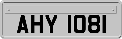 AHY1081
